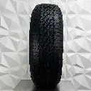 Trail-Terrain 01.webp